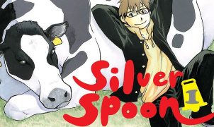 silver spoon review